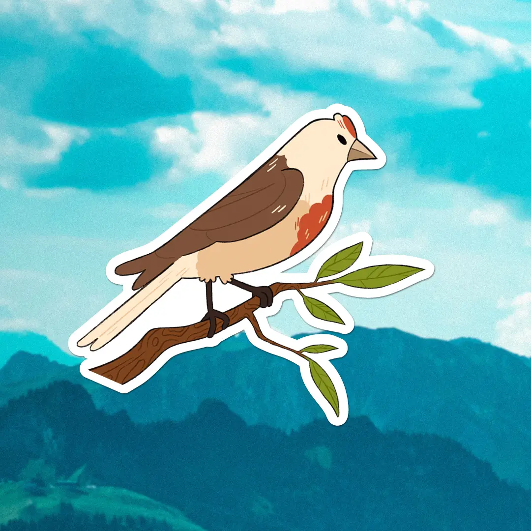 Image of project or blog