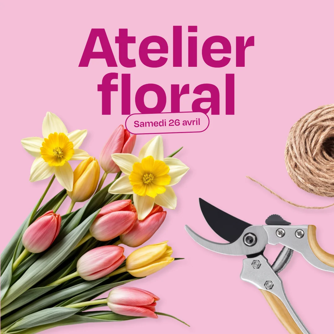 Image of project or blog