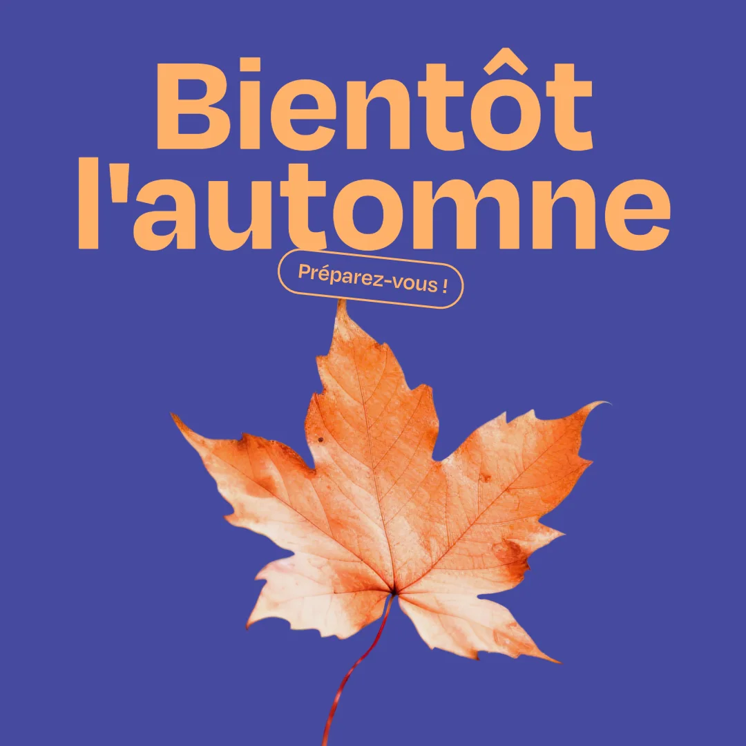 Image of project or blog