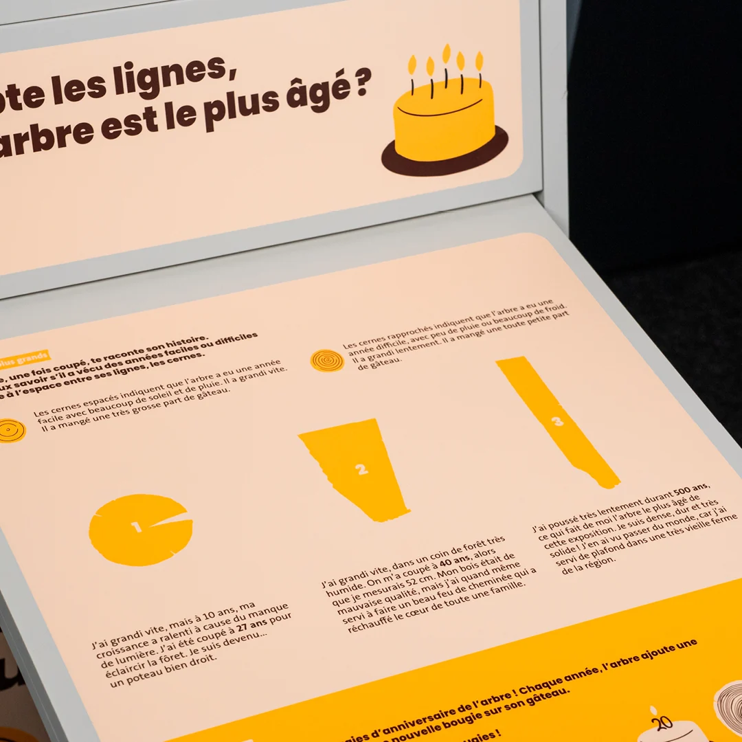 Image of project or blog